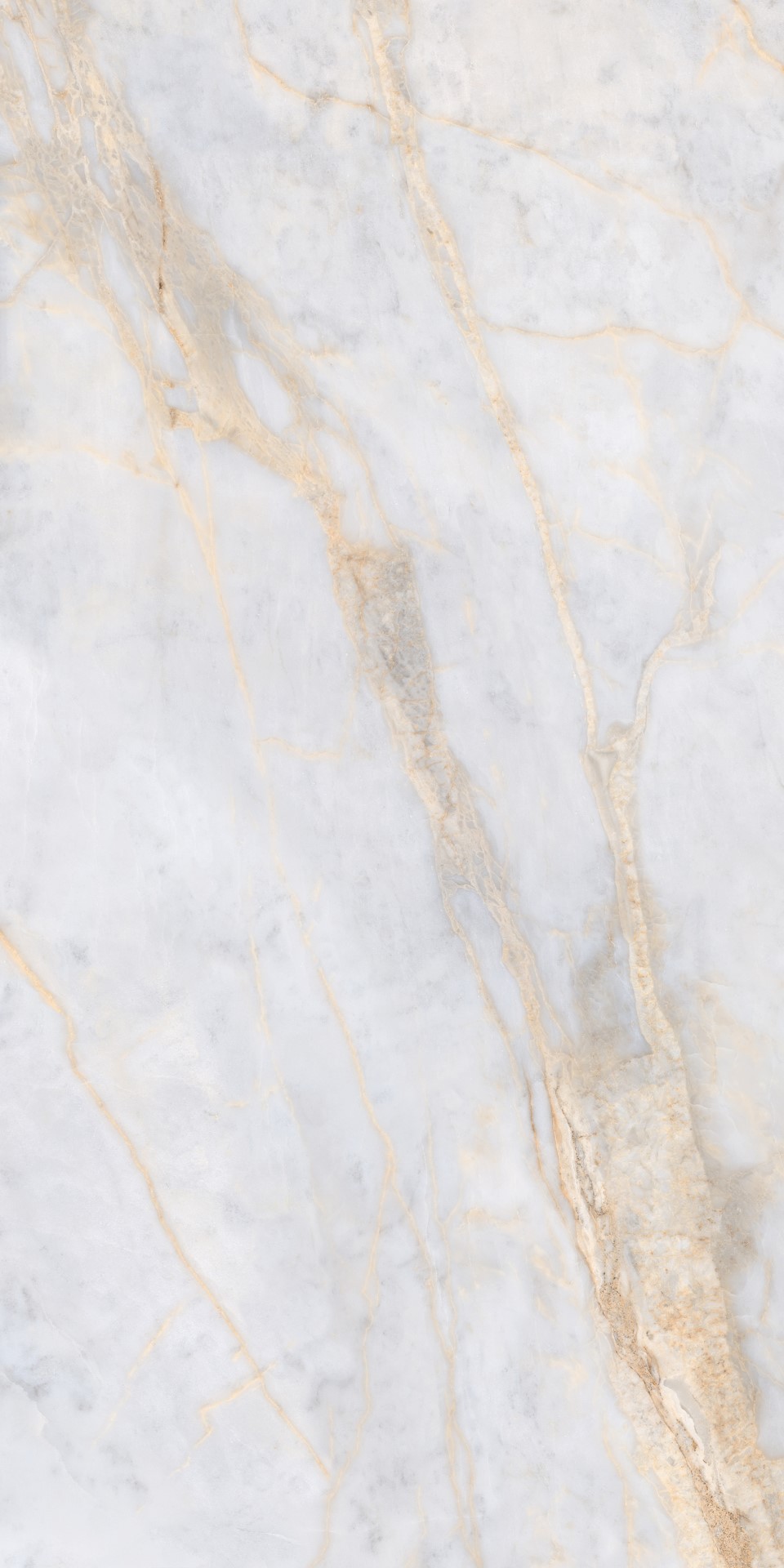 DS-LUXURY-MARBLE-LIGHT-GREY-HONED-RAN6-90x180cm